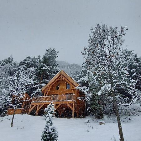 Chalet L'Empreinte Saint-Étienne-de-Tinée Buitenkant foto